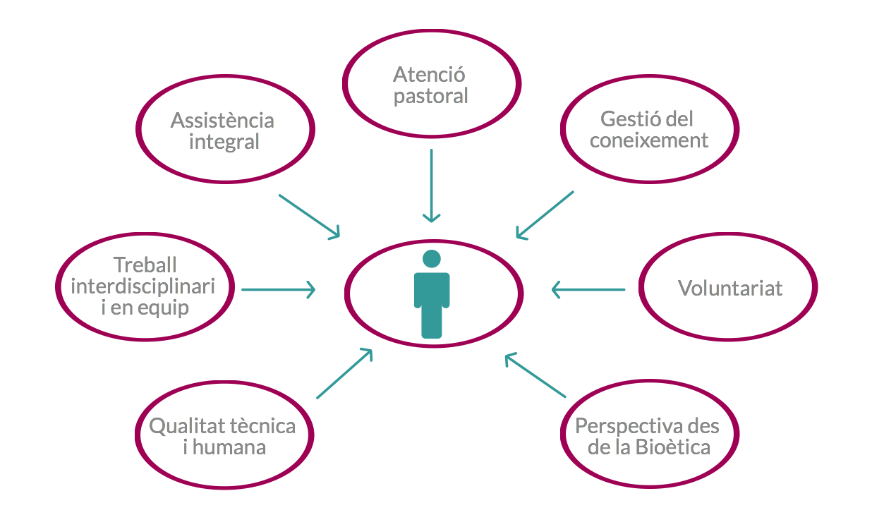 Model d'atenció esquema web
