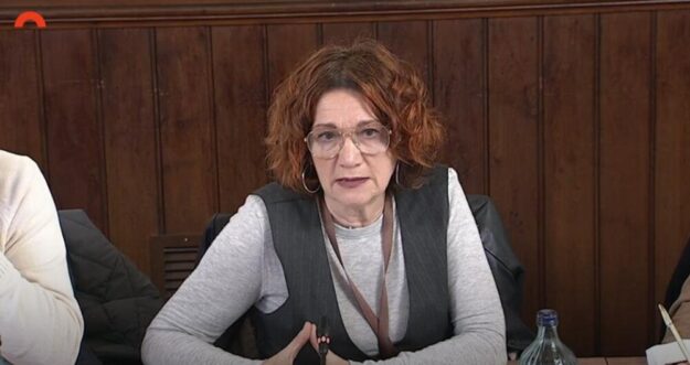 Conchita Peña defiende en el Parlament el papel del trabajo social en la nueva Agencia de Atención Integrada Social y Sanitaria