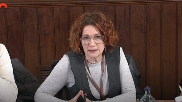 Conchita Peña defiende en el Parlament el papel del trabajo social en la nueva Agencia de Atención Integrada Social y Sanitaria